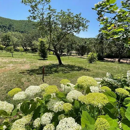 Villa Spoleto Country Park - Relax Or Be Energetic